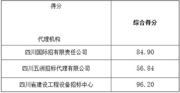 四川网站建设 连接政府与民众的数字桥梁