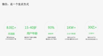 成都与四川网站建设 数字时代的本土机遇